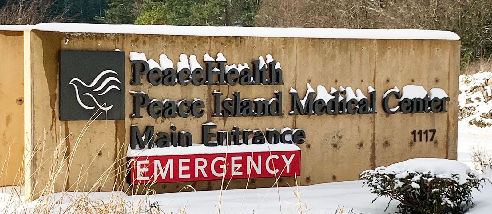 PeaceHealth Sign in Snow